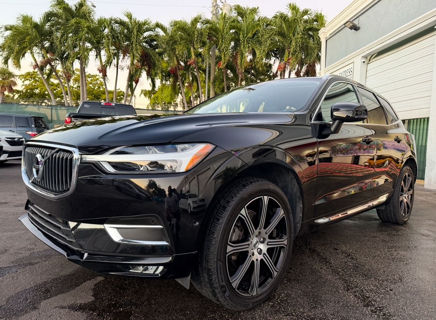 Paint correction and restoration
